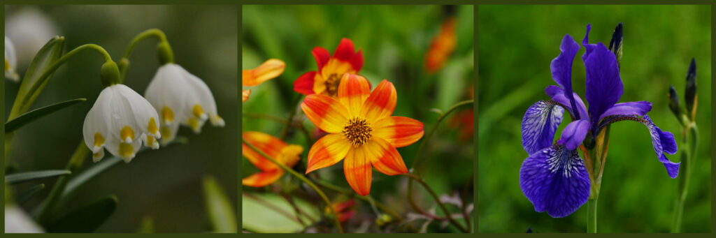 My Post (1)